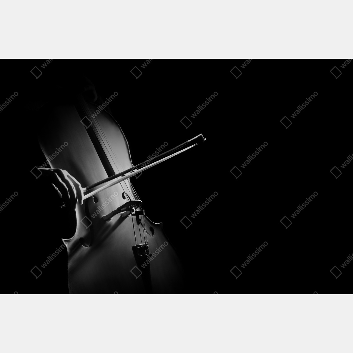 Fototapeta elegancka wiolonczela czarno-biała – Wallissimo® Fototapeta elegancka wiolonczela czarno-biała – Wallissimo®