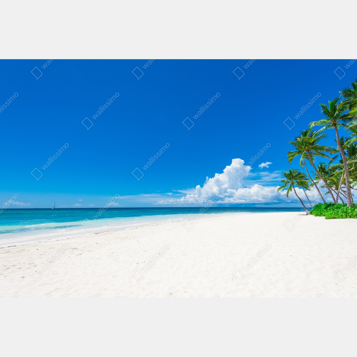 Fototapeta tropikalna plaża z palmami – Wallissimo® Fototapeta tropikalna plaża z palmami – Wallissimo®