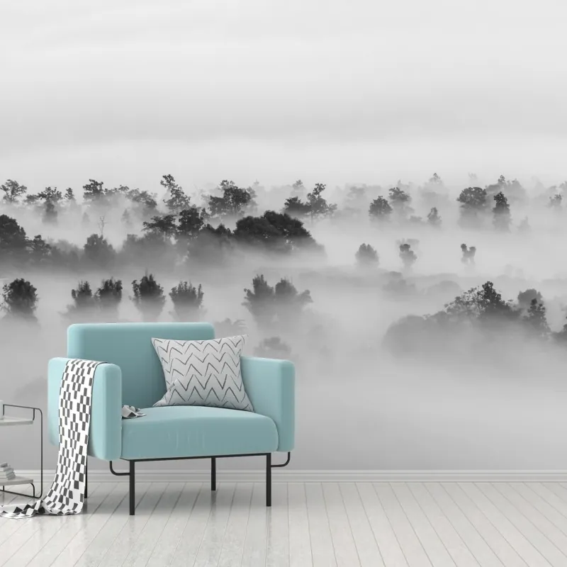 Fototapeta mglisty las czarno-biały