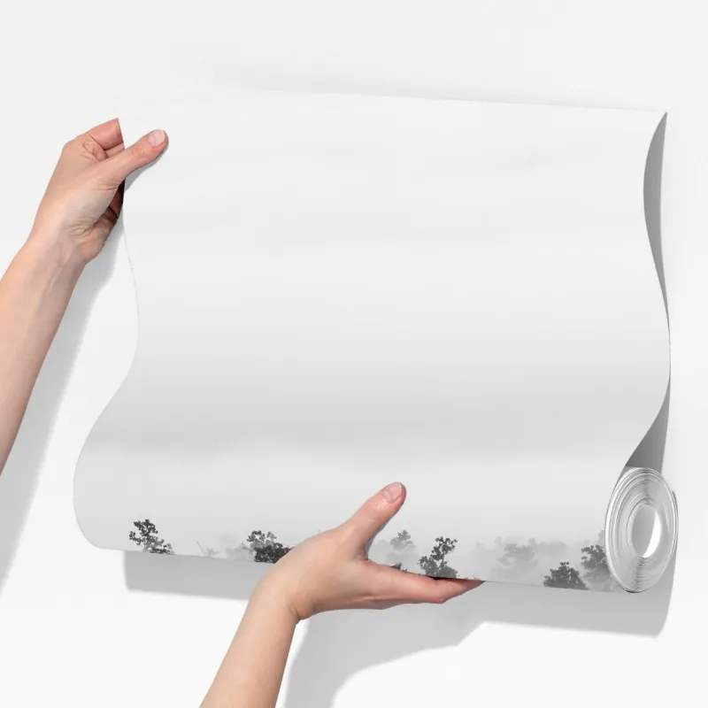 Fototapeta mglisty las czarno-biały – Wallissimo® Fototapeta mglisty las czarno-biały – Wallissimo®