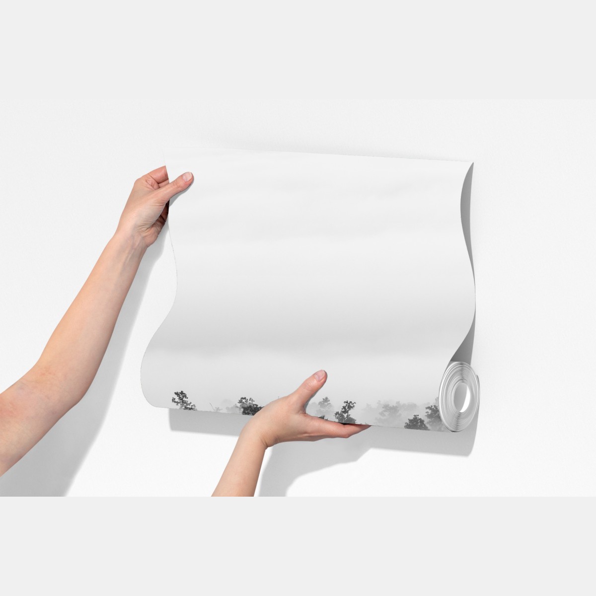 Fototapeta mglisty las czarno-biały – Wallissimo® Fototapeta mglisty las czarno-biały – Wallissimo®