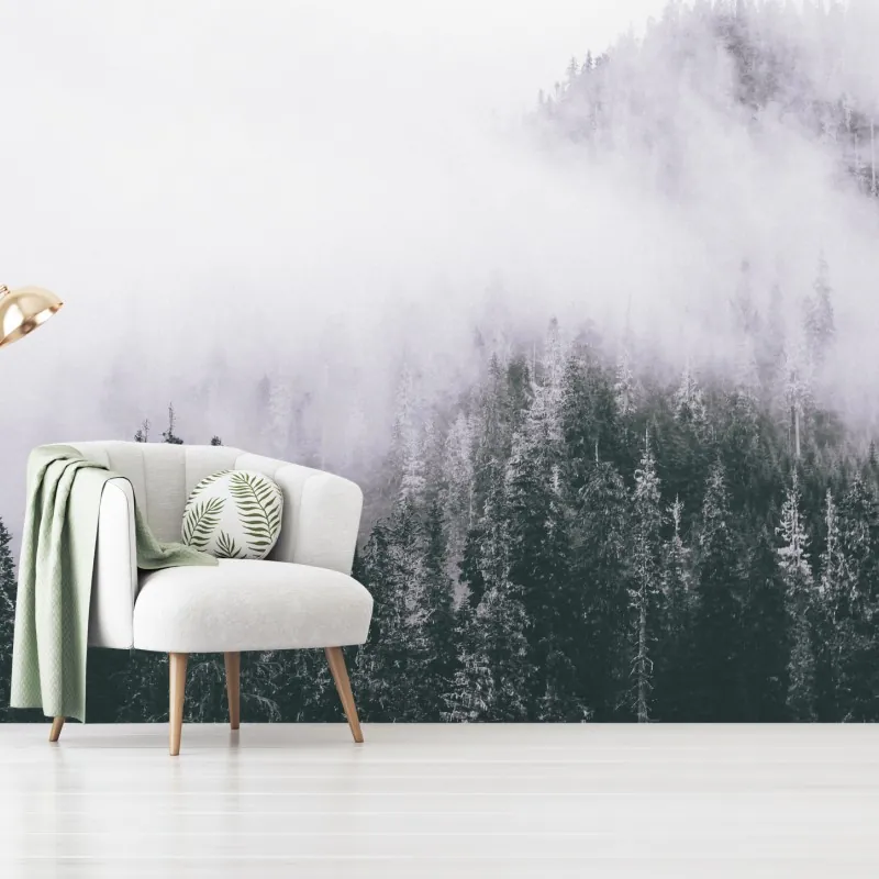 Fototapeta mglisty las iglasty