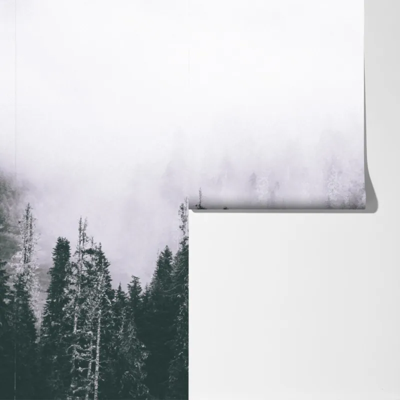 Fototapeta mglisty las iglasty – Wallissimo® Fototapeta mglisty las iglasty – Wallissimo®