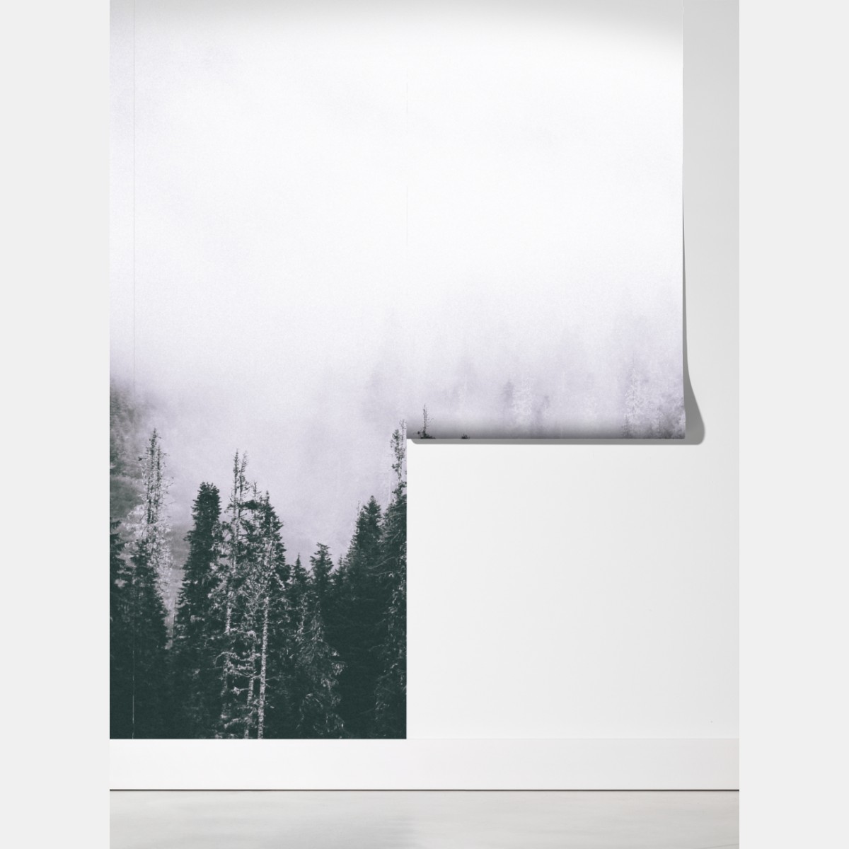 Fototapeta mglisty las iglasty – Wallissimo® Fototapeta mglisty las iglasty – Wallissimo®