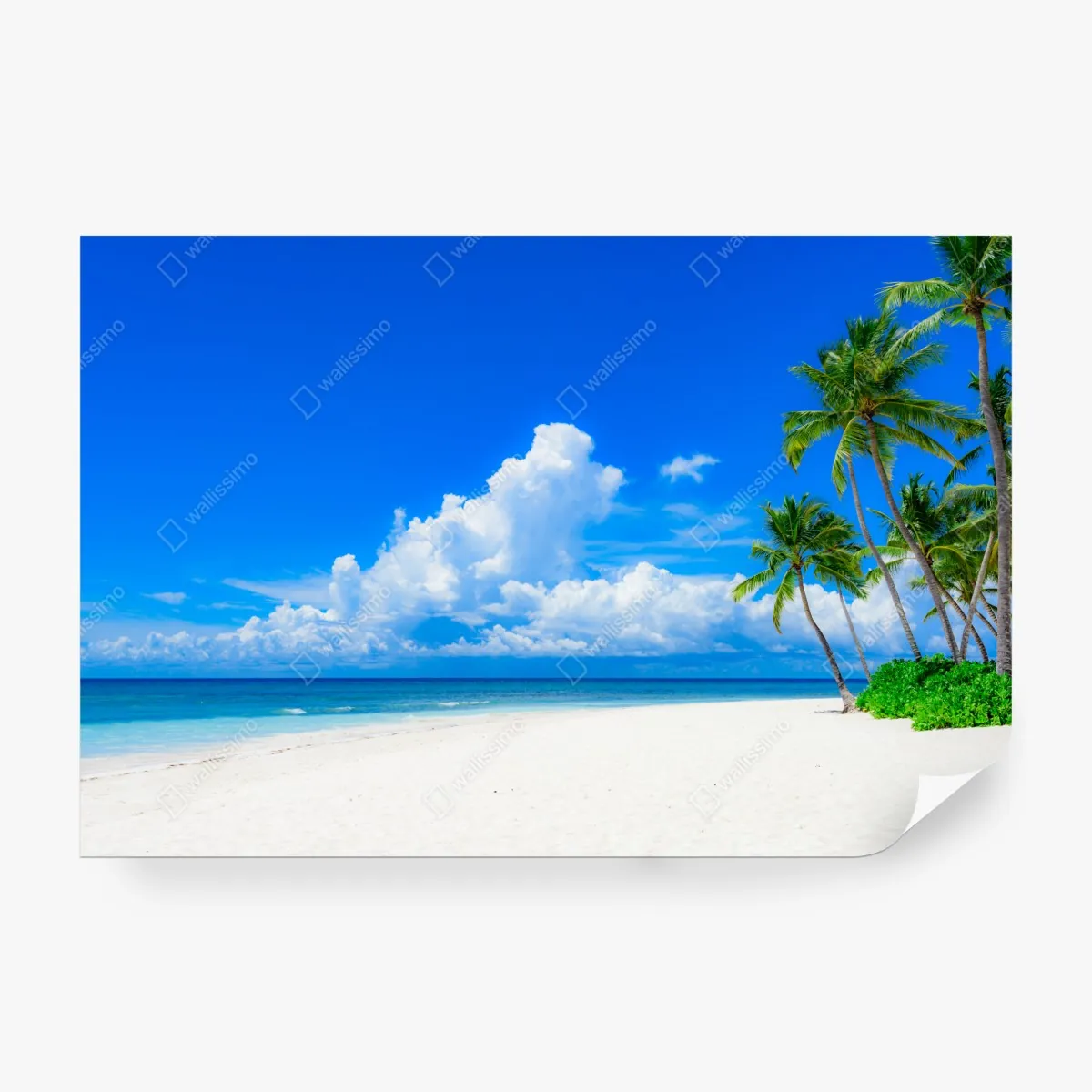 Fototapeta tropikalna plaża z palmami pod błękitnym niebem – Wallissimo® Fototapeta tropikalna plaża z palmami pod błękitnym niebem – Wallissimo®