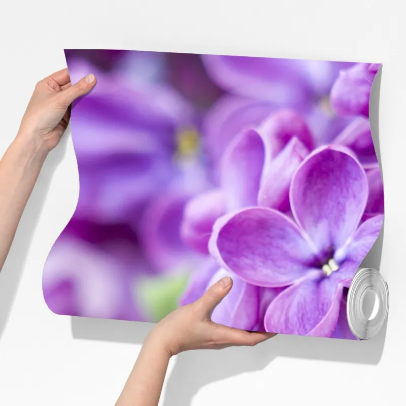 Fototapeta fioletowe kwiaty lilaka zbliżenie – Wallissimo® Fototapeta fioletowe kwiaty lilaka zbliżenie – Wallissimo®