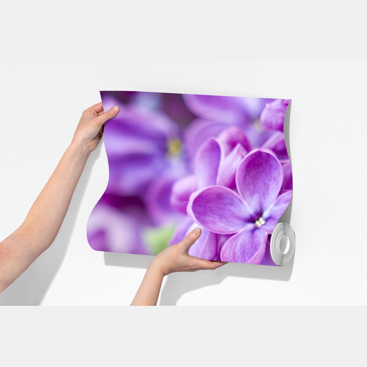 Fototapeta fioletowe kwiaty lilaka zbliżenie – Wallissimo® Fototapeta fioletowe kwiaty lilaka zbliżenie – Wallissimo®