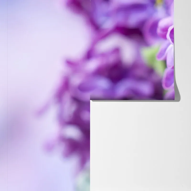 Fototapeta fioletowe kwiaty lilaka zbliżenie – Wallissimo® Fototapeta fioletowe kwiaty lilaka zbliżenie – Wallissimo®