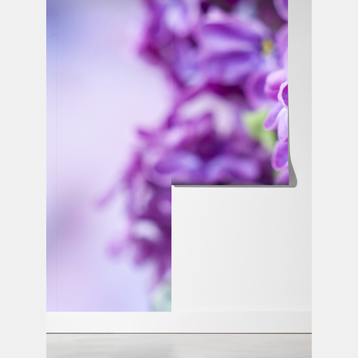 Fototapeta fioletowe kwiaty lilaka zbliżenie – Wallissimo® Fototapeta fioletowe kwiaty lilaka zbliżenie – Wallissimo®