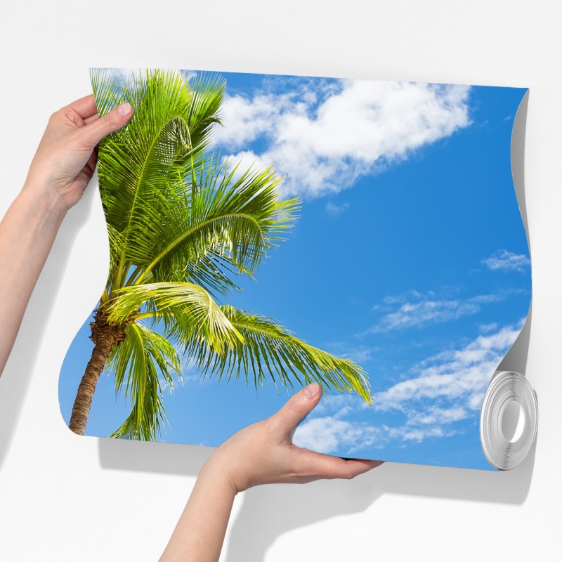 Fototapeta plaża z palmami w Punta Cana – Wallissimo® Fototapeta plaża z palmami w Punta Cana – Wallissimo®