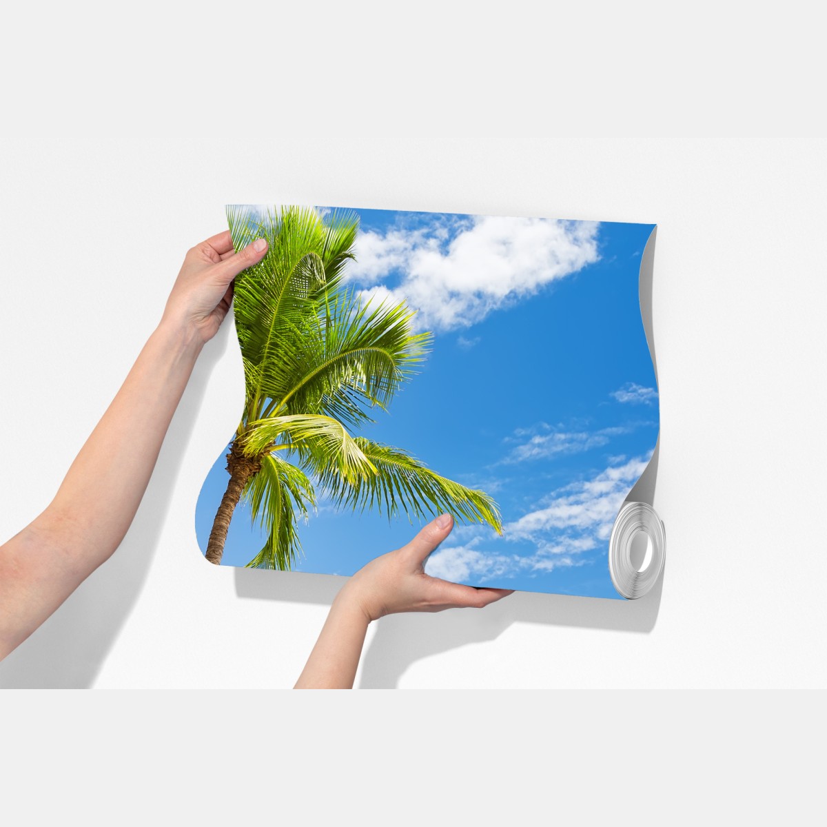 Fototapeta plaża z palmami w Punta Cana – Wallissimo® Fototapeta plaża z palmami w Punta Cana – Wallissimo®