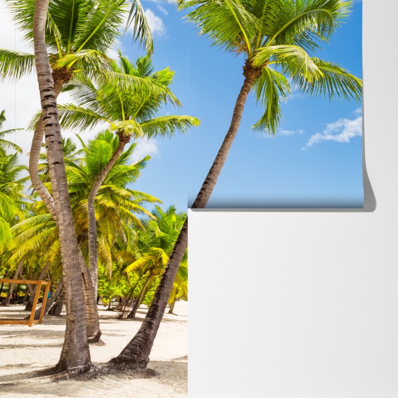 Fototapeta plaża z palmami w Punta Cana – Wallissimo® Fototapeta plaża z palmami w Punta Cana – Wallissimo®