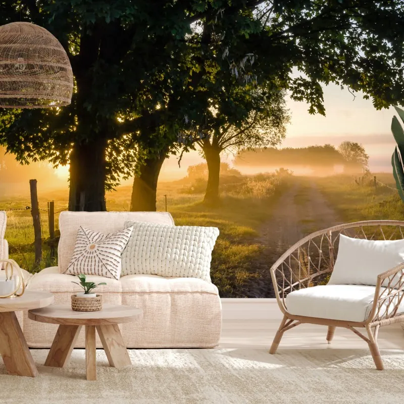 Fototapeta słoneczna wiejska droga o świcie