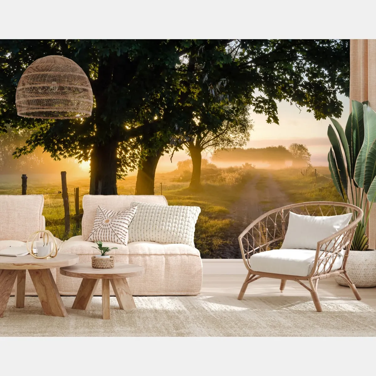 Fototapeta słoneczna wiejska droga o świcie – Wallissimo® Fototapeta słoneczna wiejska droga o świcie – Wallissimo®