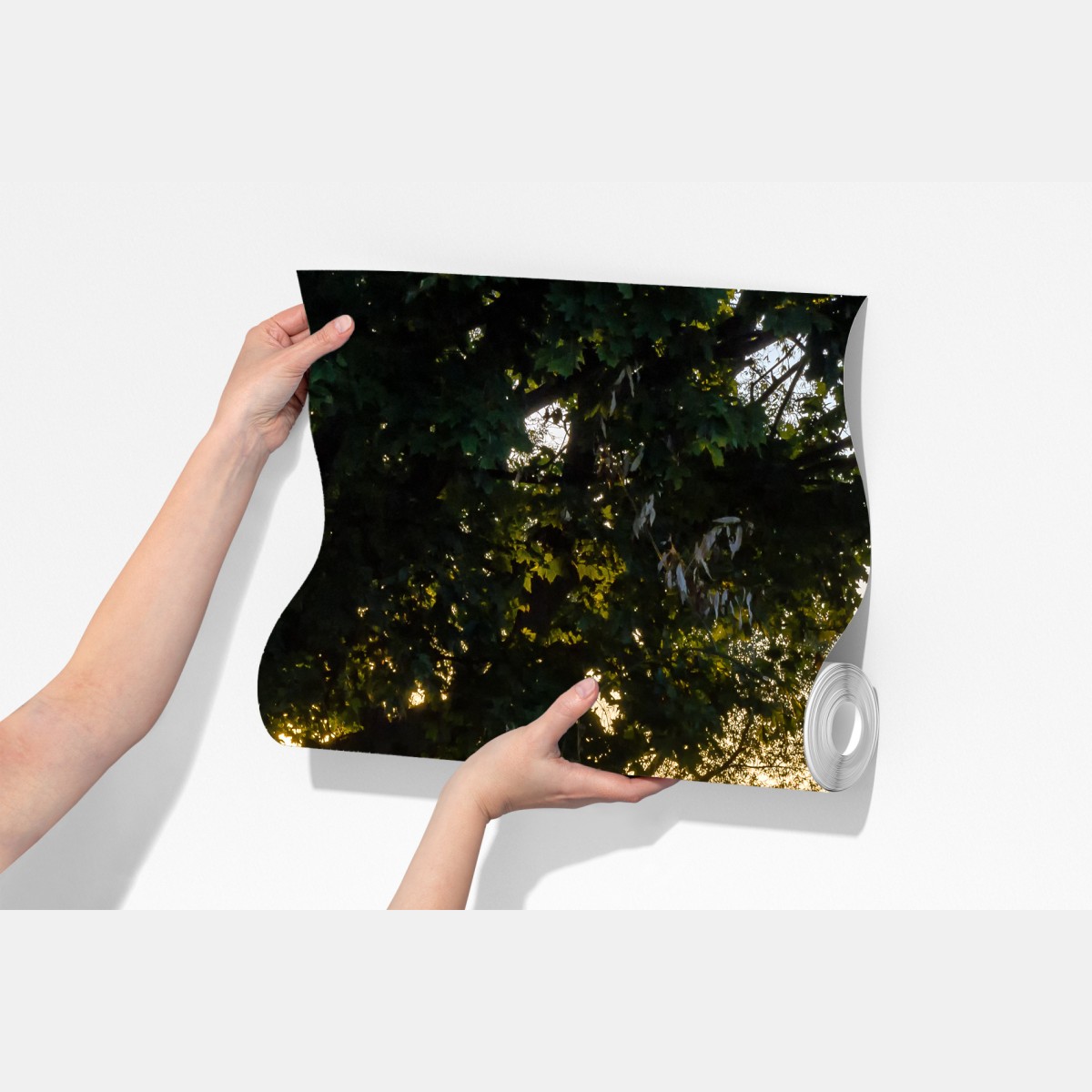 Fototapeta słoneczna wiejska droga o świcie – Wallissimo® Fototapeta słoneczna wiejska droga o świcie – Wallissimo®