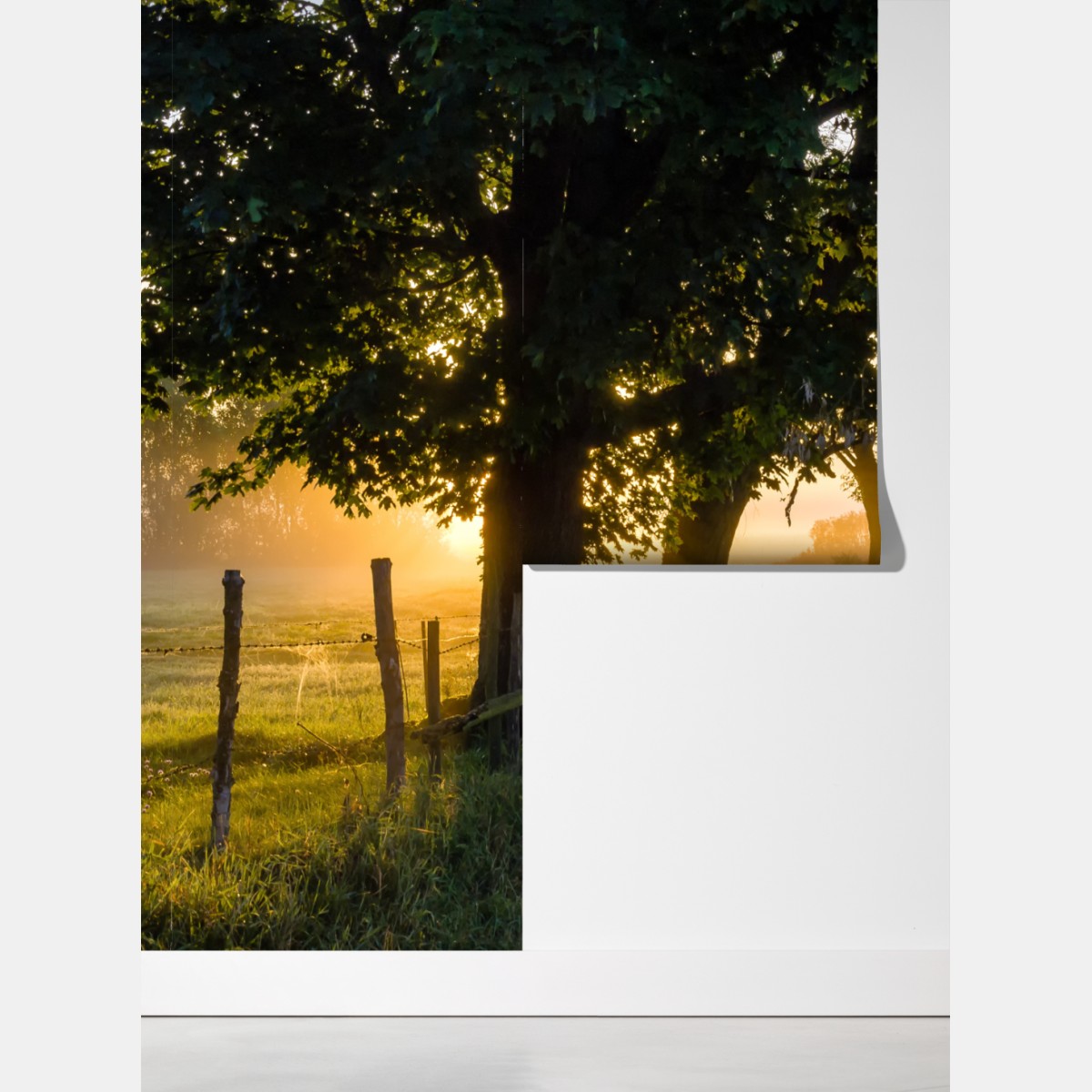 Fototapeta słoneczna wiejska droga o świcie – Wallissimo® Fototapeta słoneczna wiejska droga o świcie – Wallissimo®