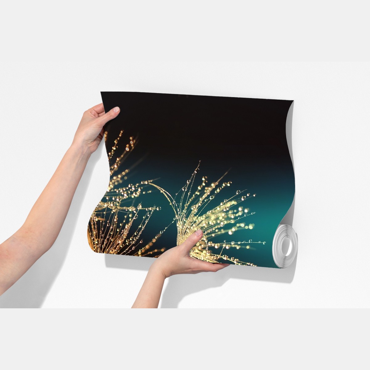 Fototapeta złote odbicie dmuchawca – Wallissimo® Fototapeta złote odbicie dmuchawca – Wallissimo®