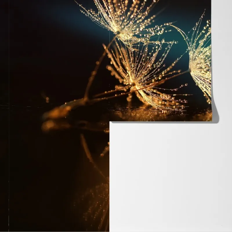 Fototapeta złote odbicie dmuchawca – Wallissimo® Fototapeta złote odbicie dmuchawca – Wallissimo®