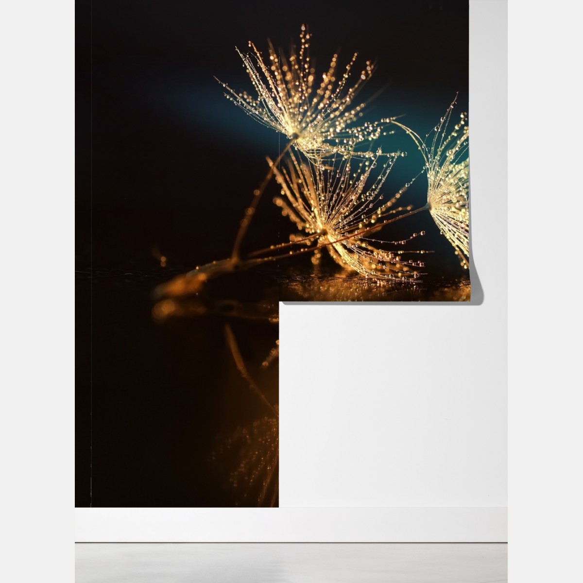 Fototapeta złote odbicie dmuchawca – Wallissimo® Fototapeta złote odbicie dmuchawca – Wallissimo®