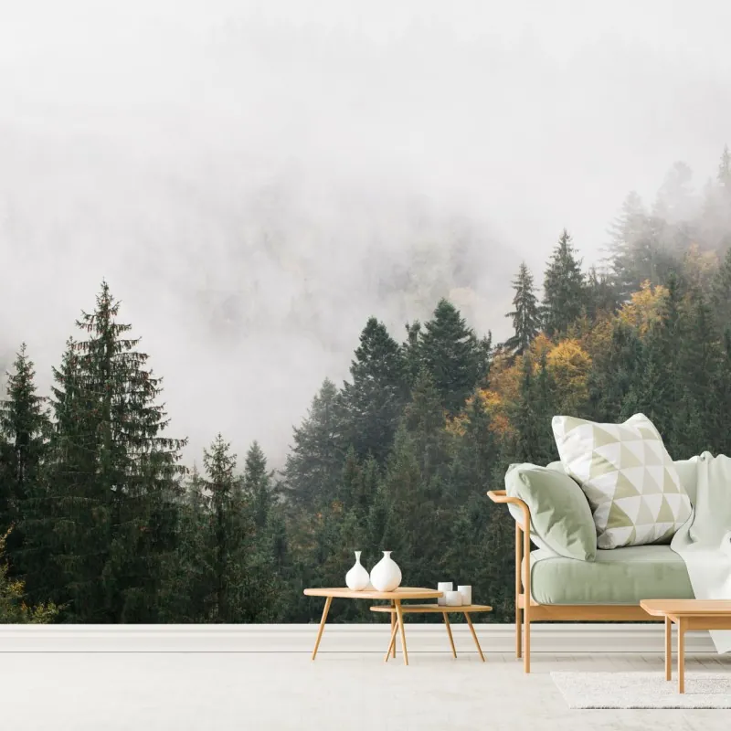 Fototapeta mglisty górski las – Wallissimo® Fototapeta mglisty górski las – Wallissimo®