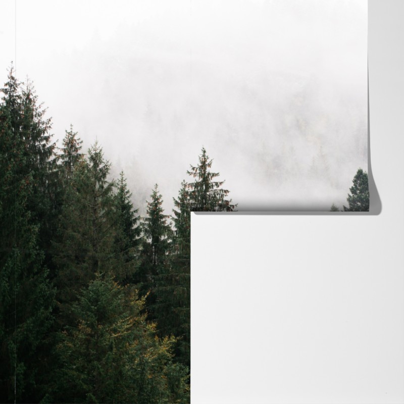 Fototapeta mglisty górski las – Wallissimo® Fototapeta mglisty górski las – Wallissimo®