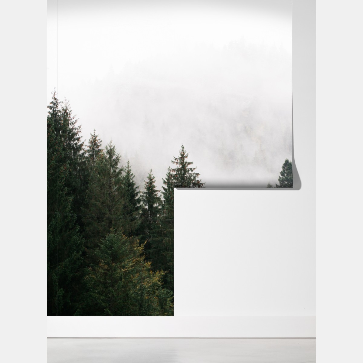 Fototapeta mglisty górski las – Wallissimo® Fototapeta mglisty górski las – Wallissimo®