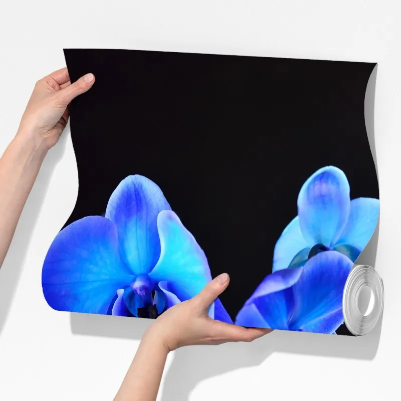 Fototapeta intensywna niebieska orchidea na czarnym tle – Wallissimo® Fototapeta intensywna niebieska orchidea na czarnym tle – Wallissimo®