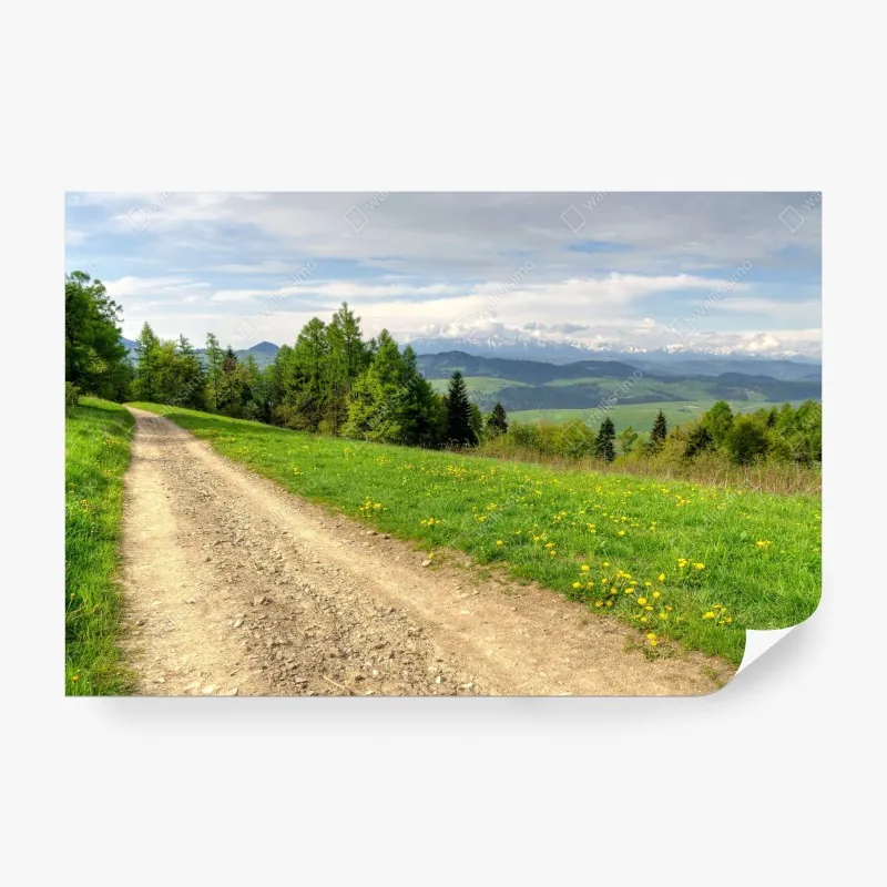 Fototapeta pola lawendy pod błękitnym niebem – Wallissimo®