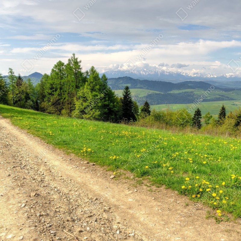 Fototapeta Gorce wiosenny szlak – Wallissimo® Fototapeta Gorce wiosenny szlak – Wallissimo®