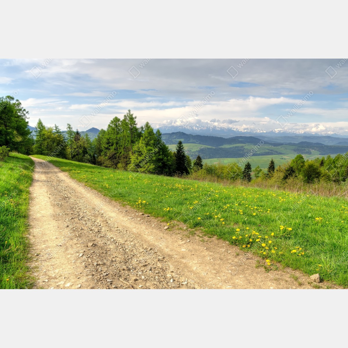 Fototapeta Gorce wiosenny szlak – Wallissimo® Fototapeta Gorce wiosenny szlak – Wallissimo®