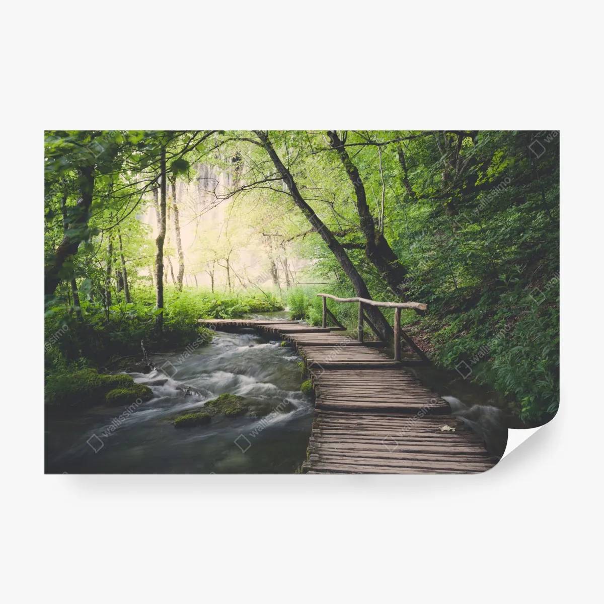 Fototapeta spokojna drewniana kładka w zielonym lesie – Wallissimo® Fototapeta spokojna drewniana kładka w zielonym lesie – Wallissimo®