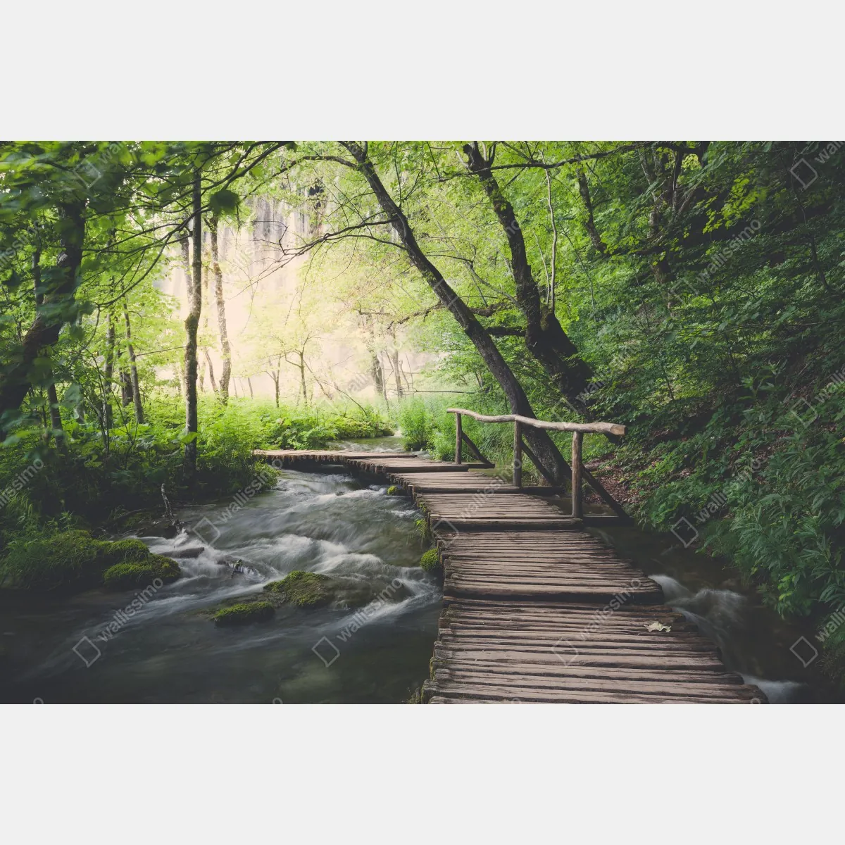 Fototapeta spokojna drewniana kładka w zielonym lesie – Wallissimo® Fototapeta spokojna drewniana kładka w zielonym lesie – Wallissimo®