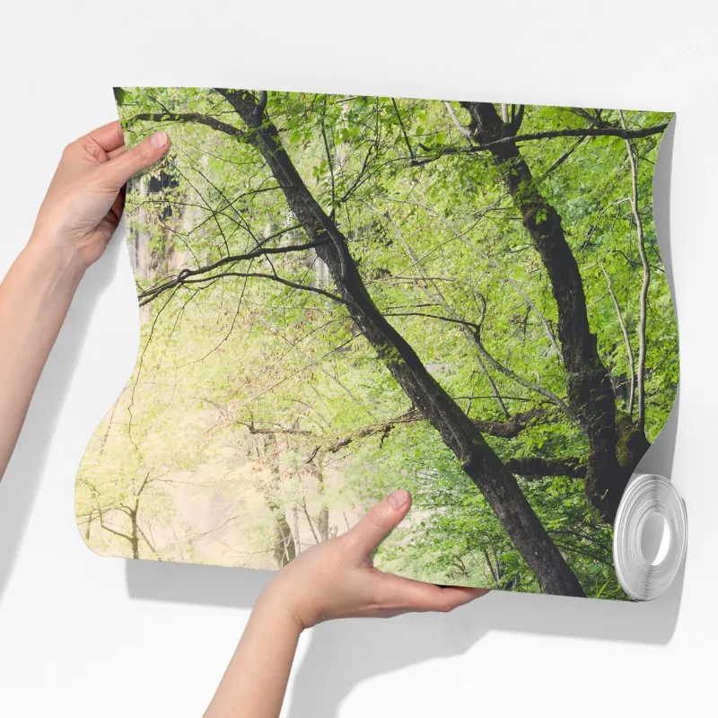 Fototapeta spokojna drewniana kładka w zielonym lesie – Wallissimo® Fototapeta spokojna drewniana kładka w zielonym lesie – Wallissimo®