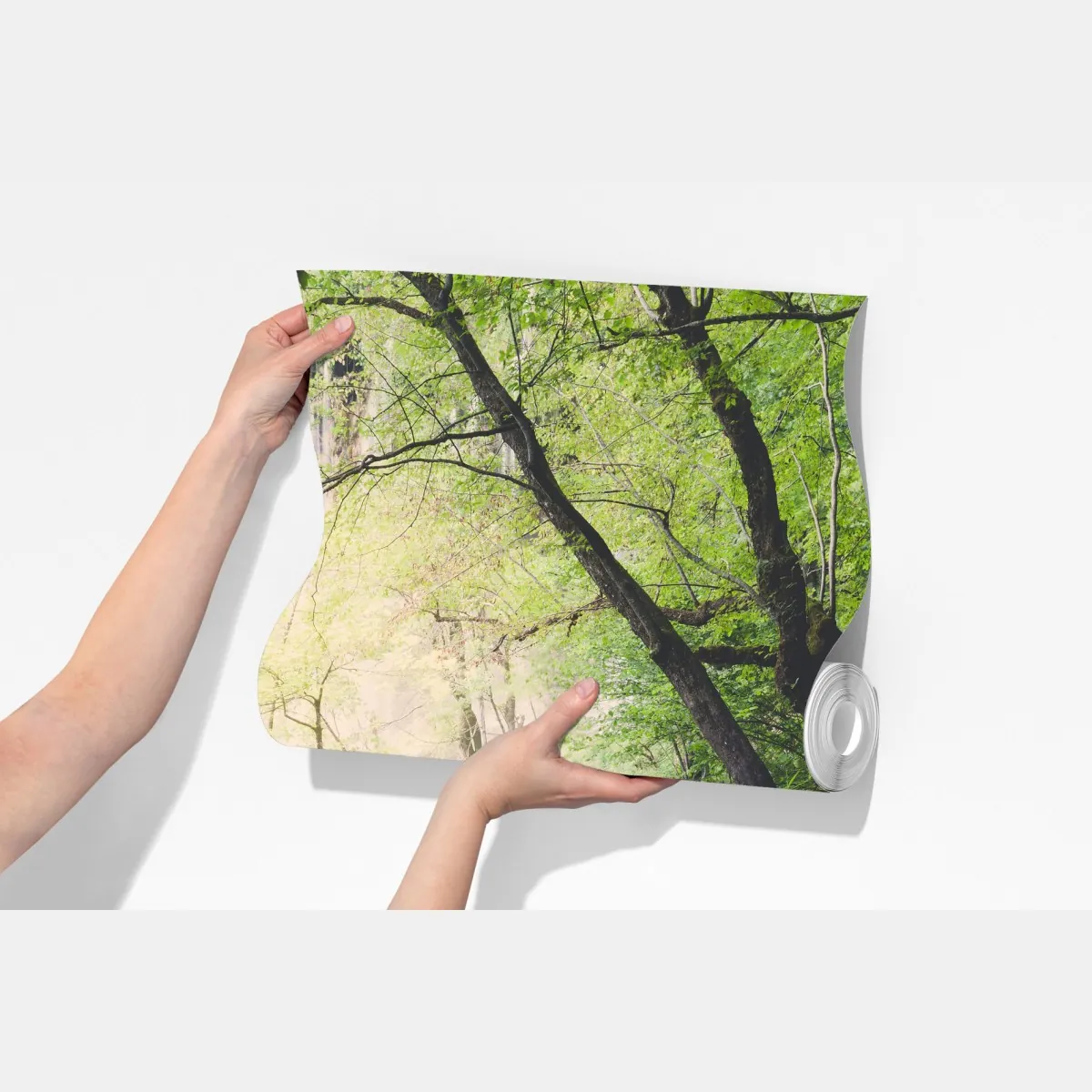 Fototapeta spokojna drewniana kładka w zielonym lesie – Wallissimo® Fototapeta spokojna drewniana kładka w zielonym lesie – Wallissimo®