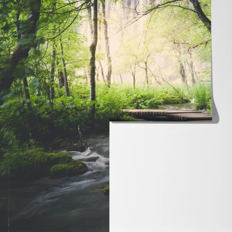 Fototapeta spokojna drewniana kładka w zielonym lesie – Wallissimo® Fototapeta spokojna drewniana kładka w zielonym lesie – Wallissimo®