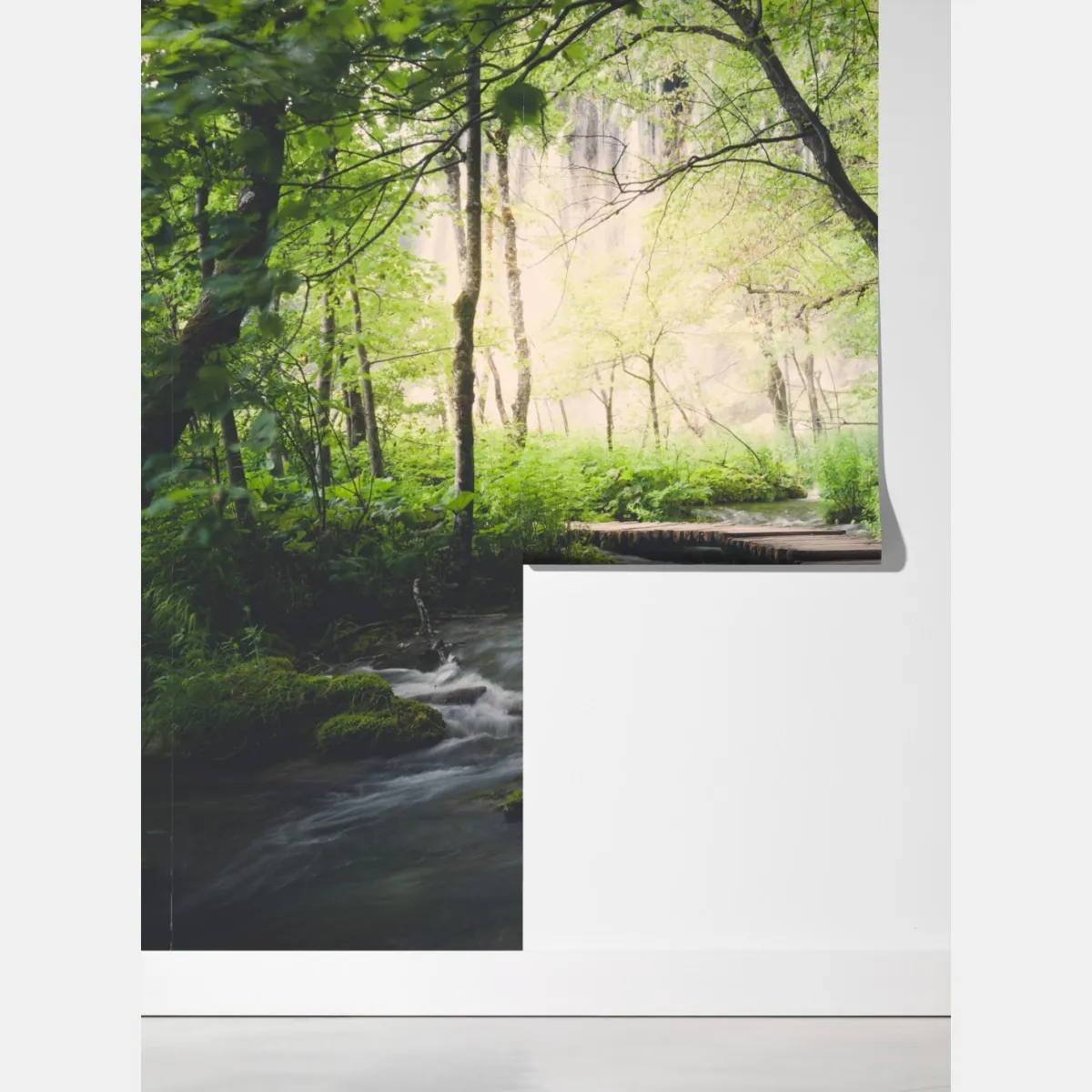 Fototapeta spokojna drewniana kładka w zielonym lesie – Wallissimo® Fototapeta spokojna drewniana kładka w zielonym lesie – Wallissimo®