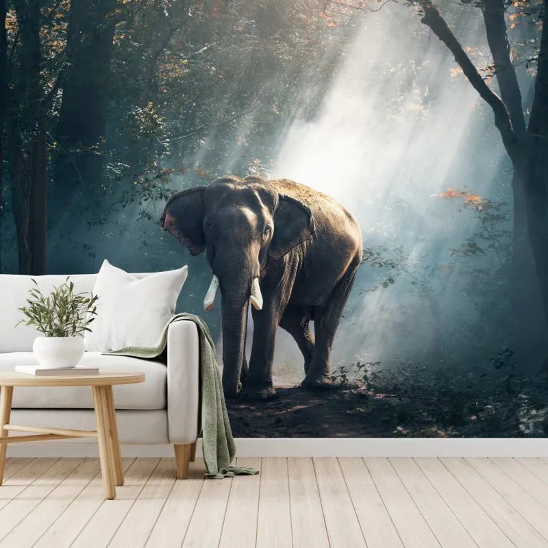 Fototapeta majestatyczny słoń w oświetlonym lesie