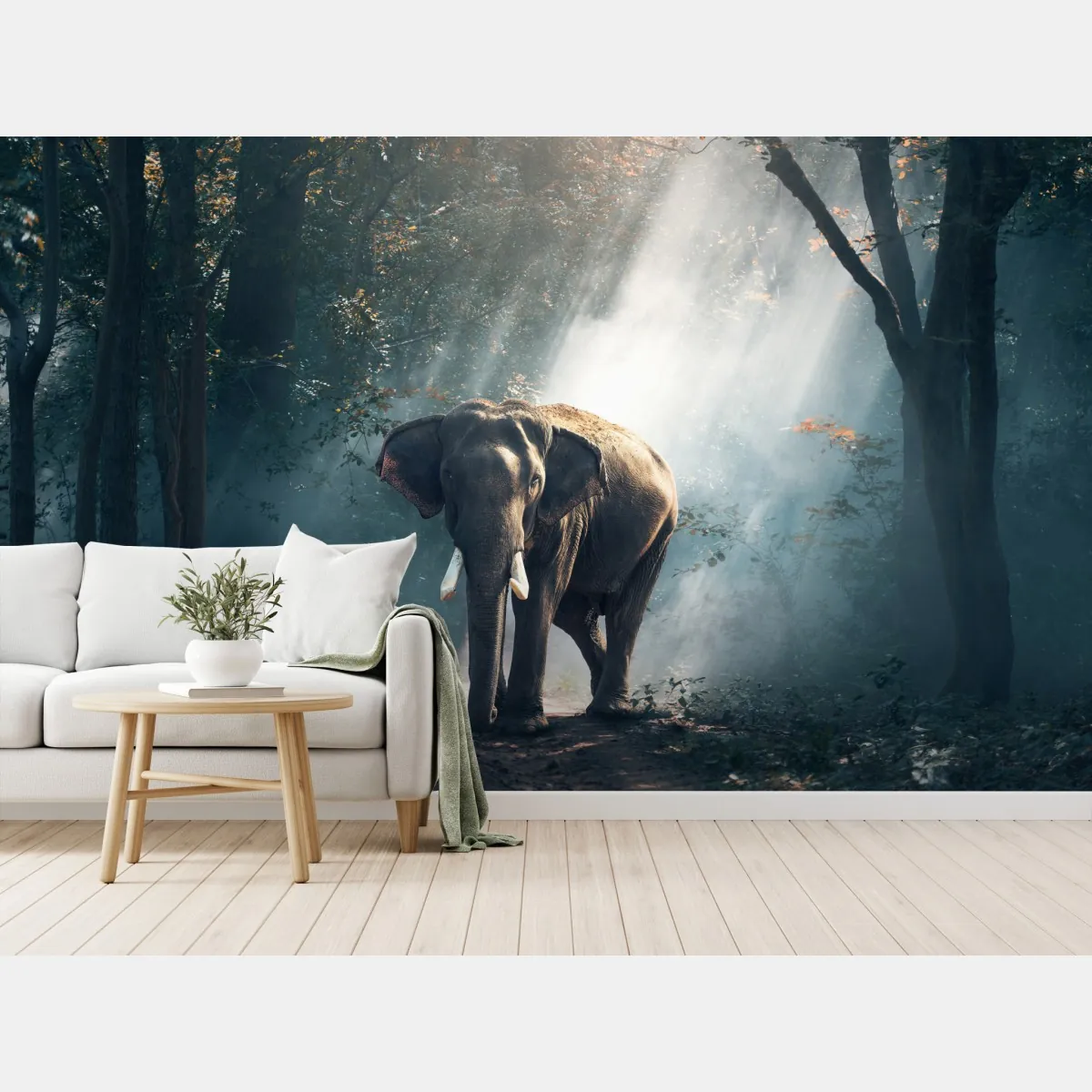 Fototapeta majestatyczny słoń w oświetlonym lesie – Wallissimo® Fototapeta majestatyczny słoń w oświetlonym lesie – Wallissimo®