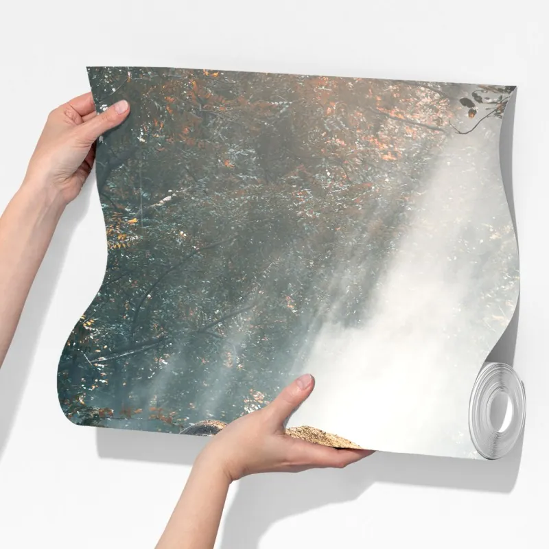 Fototapeta majestatyczny słoń w oświetlonym lesie – Wallissimo® Fototapeta majestatyczny słoń w oświetlonym lesie – Wallissimo®