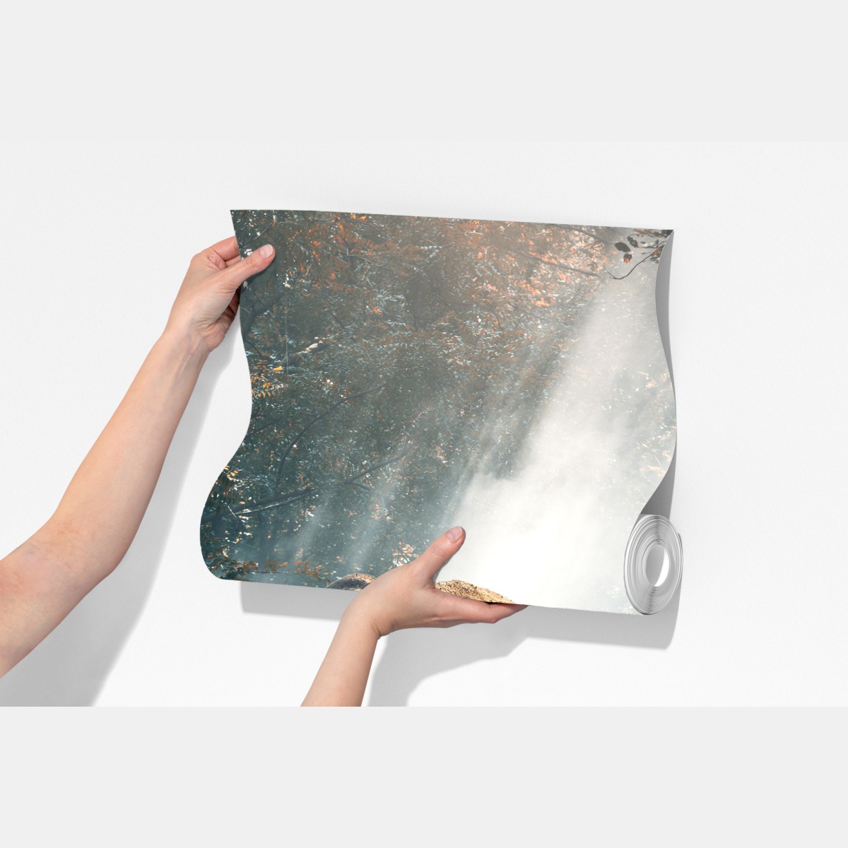 Fototapeta majestatyczny słoń w oświetlonym lesie – Wallissimo® Fototapeta majestatyczny słoń w oświetlonym lesie – Wallissimo®