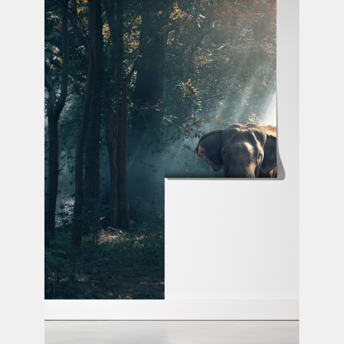 Fototapeta majestatyczny słoń w oświetlonym lesie – Wallissimo® Fototapeta majestatyczny słoń w oświetlonym lesie – Wallissimo®