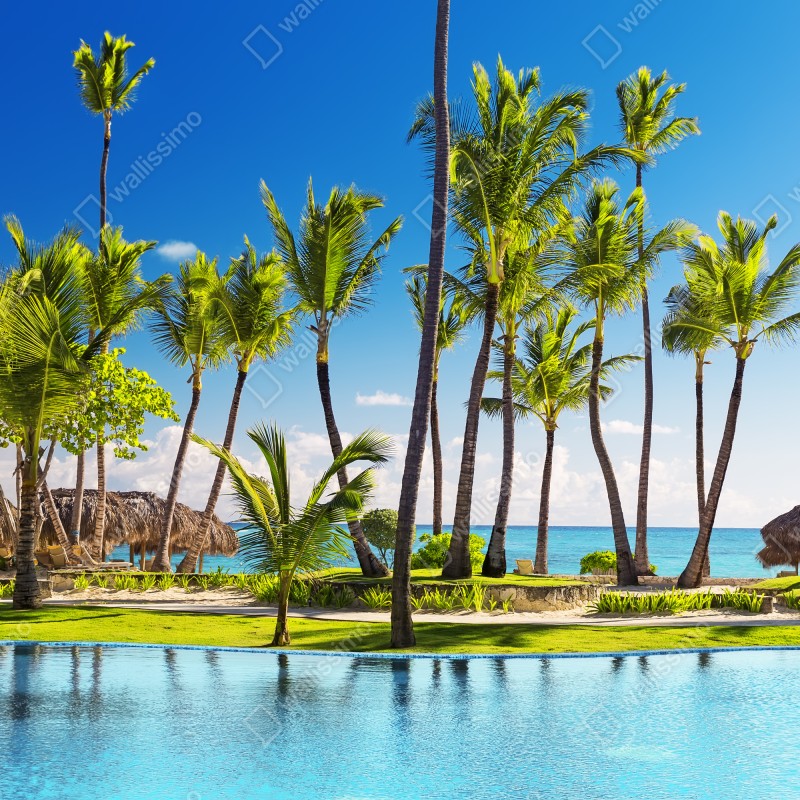 Fototapeta tropikalny zakątek na plaży w Punta Cana – Wallissimo® Fototapeta tropikalny zakątek na plaży w Punta Cana – Wallissimo®