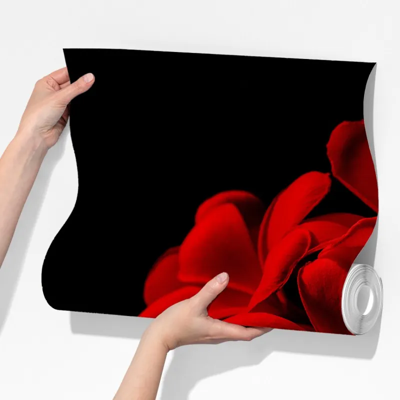 Fototapeta czerwona plumeria na czarnym tle – Wallissimo® Fototapeta czerwona plumeria na czarnym tle – Wallissimo®