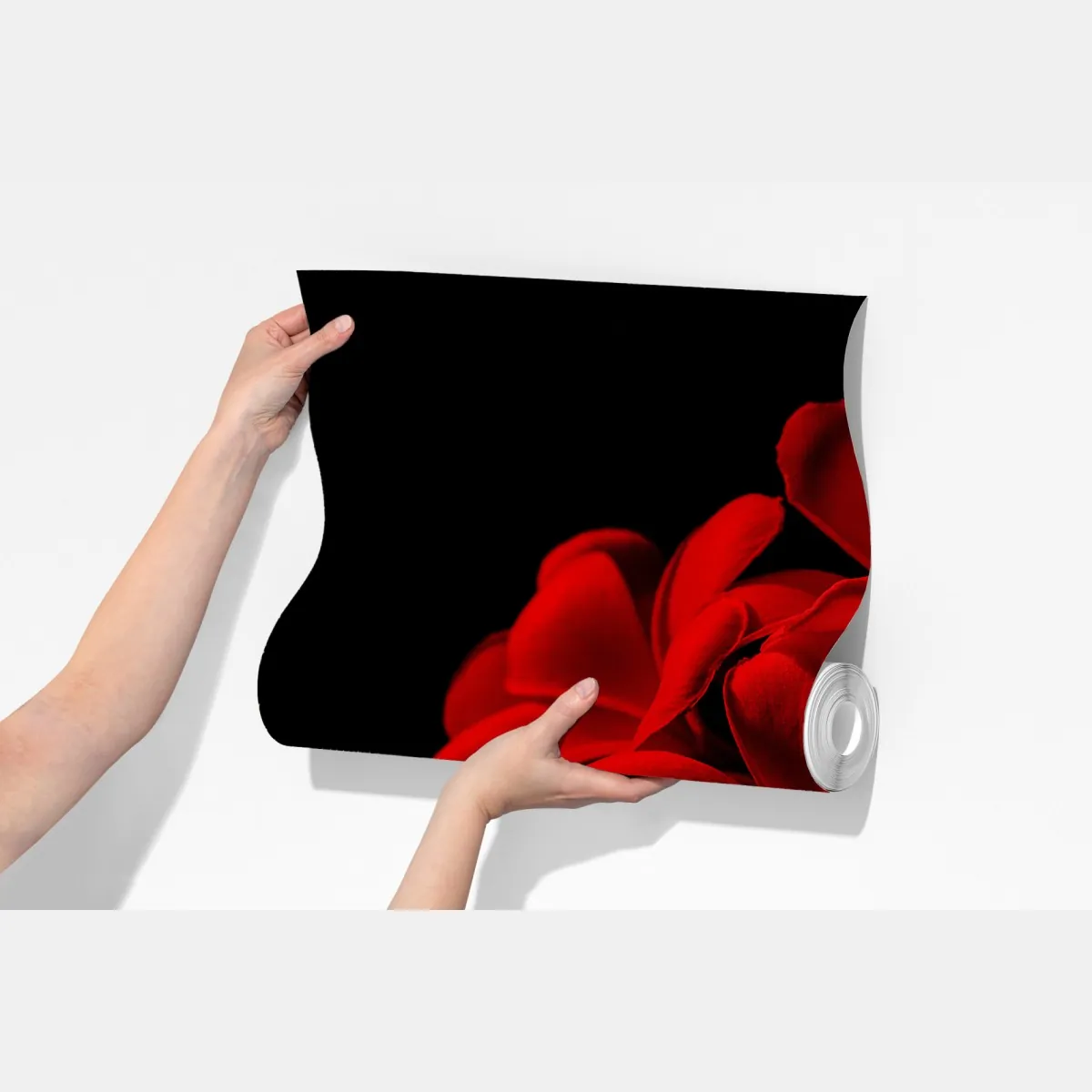 Fototapeta czerwona plumeria na czarnym tle – Wallissimo® Fototapeta czerwona plumeria na czarnym tle – Wallissimo®