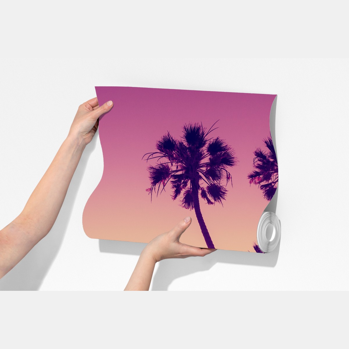 Fototapeta palmy z Kalifornii na Sunset Cliffs – Wallissimo® Fototapeta palmy z Kalifornii na Sunset Cliffs – Wallissimo®