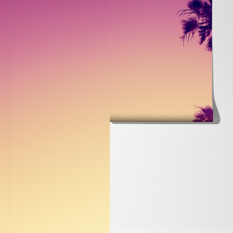 Fototapeta palmy z Kalifornii na Sunset Cliffs – Wallissimo® Fototapeta palmy z Kalifornii na Sunset Cliffs – Wallissimo®