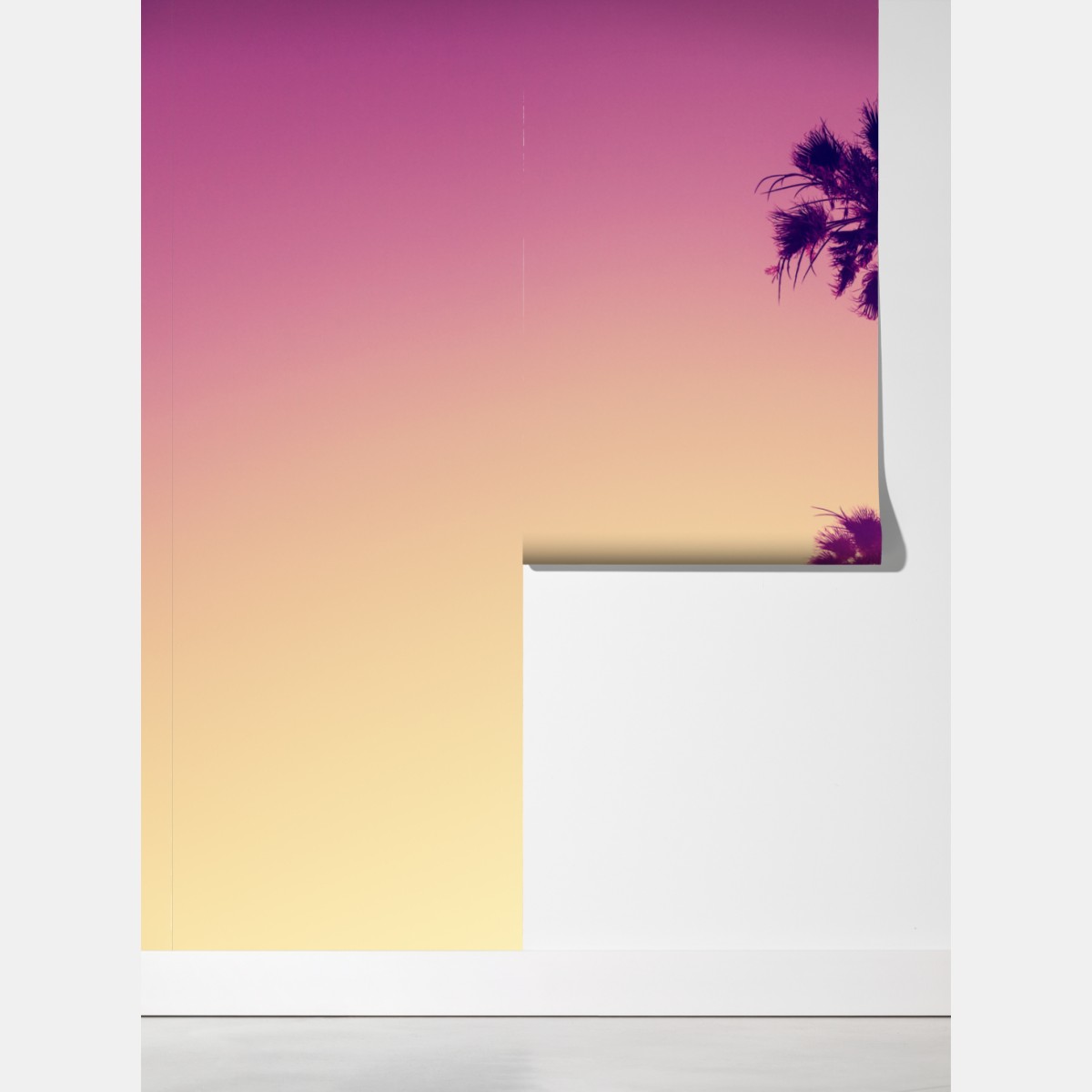 Fototapeta palmy z Kalifornii na Sunset Cliffs – Wallissimo® Fototapeta palmy z Kalifornii na Sunset Cliffs – Wallissimo®