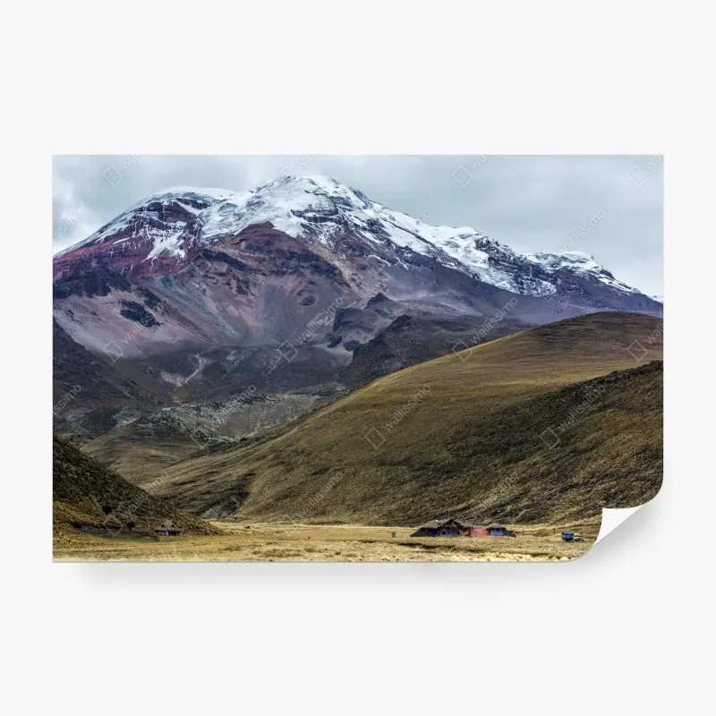 Fototapeta vintage wzór piwa i browaru – Wallissimo®