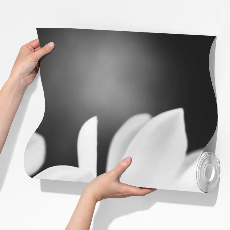 Fototapeta czarno-biała magnolia w zbliżeniu – Wallissimo® Fototapeta czarno-biała magnolia w zbliżeniu – Wallissimo®