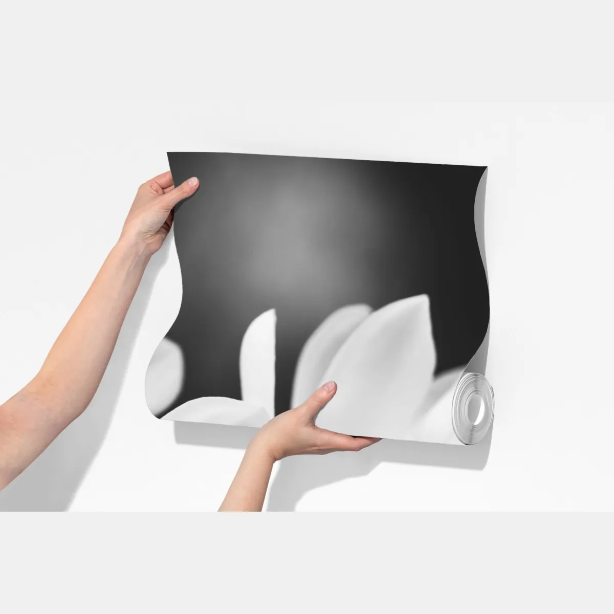 Fototapeta czarno-biała magnolia w zbliżeniu – Wallissimo® Fototapeta czarno-biała magnolia w zbliżeniu – Wallissimo®